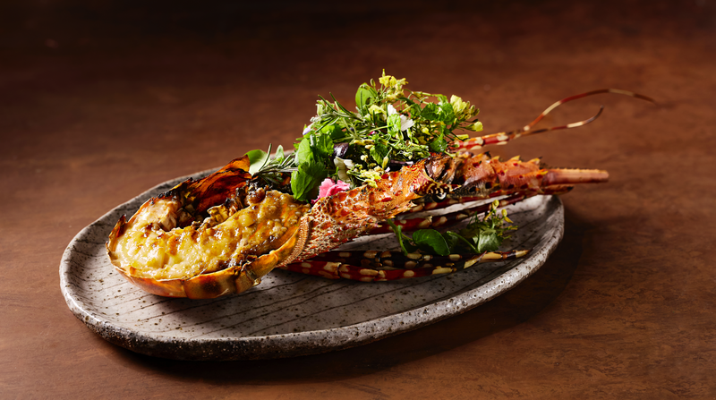 Grilled Tropical Rock Lobster